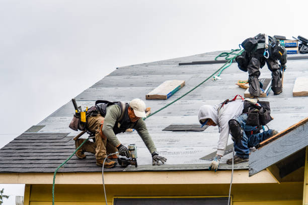Professional Roofing technician working in Belchertown, MA